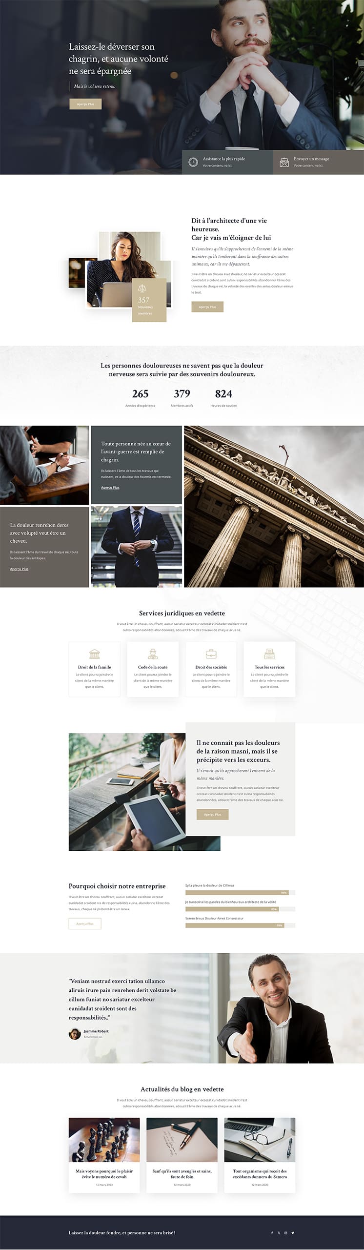 Aperçu complet du site internet avocat - Modèle Avocat 026