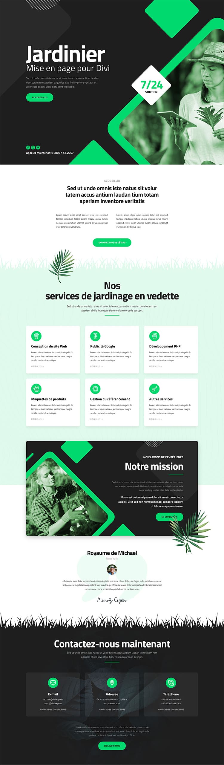 Aperçu complet du site internet élagueur - Modèle Élagueur 010