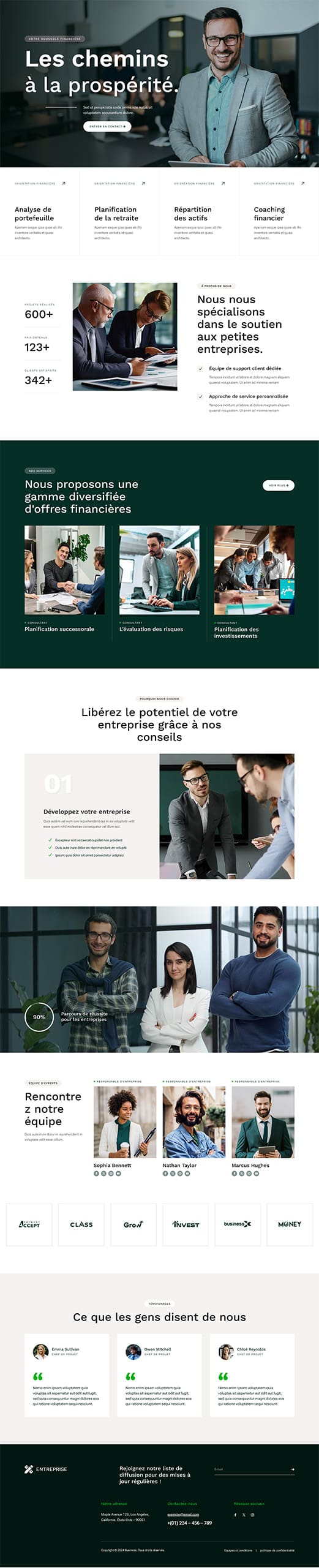 Aperçu complet du site internet business - Modèle Business 03