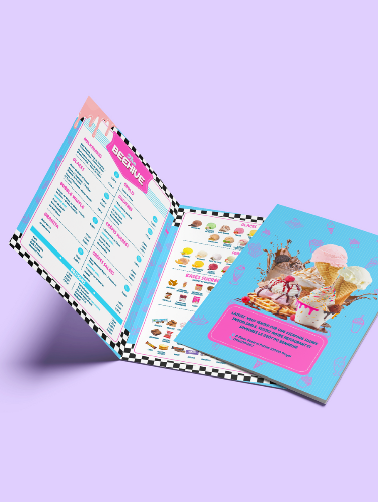 Flyer A5 - Recto verso - La demoiselle des poux